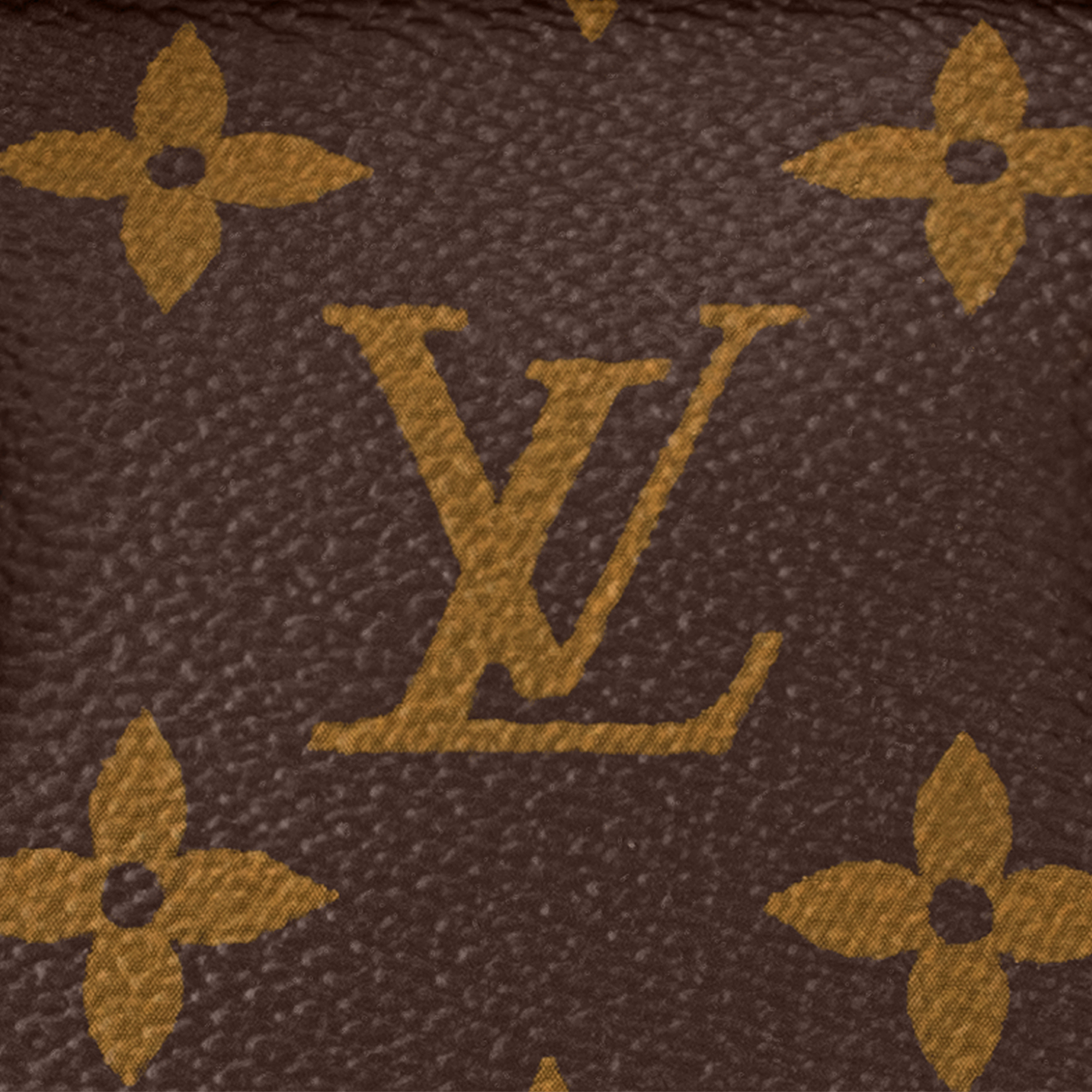 Neverfull BB Monogram Canvas in Women