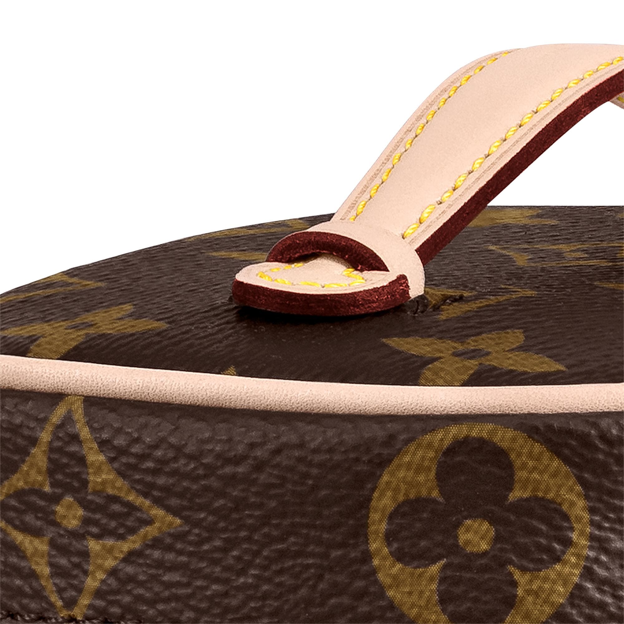 Nice Nano Monogram Canvas in Women