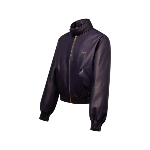 Padded Leather Blouson in Men's Ready to Wear Outerwear and Coats collections by Louis Vuitton (Product zoom)