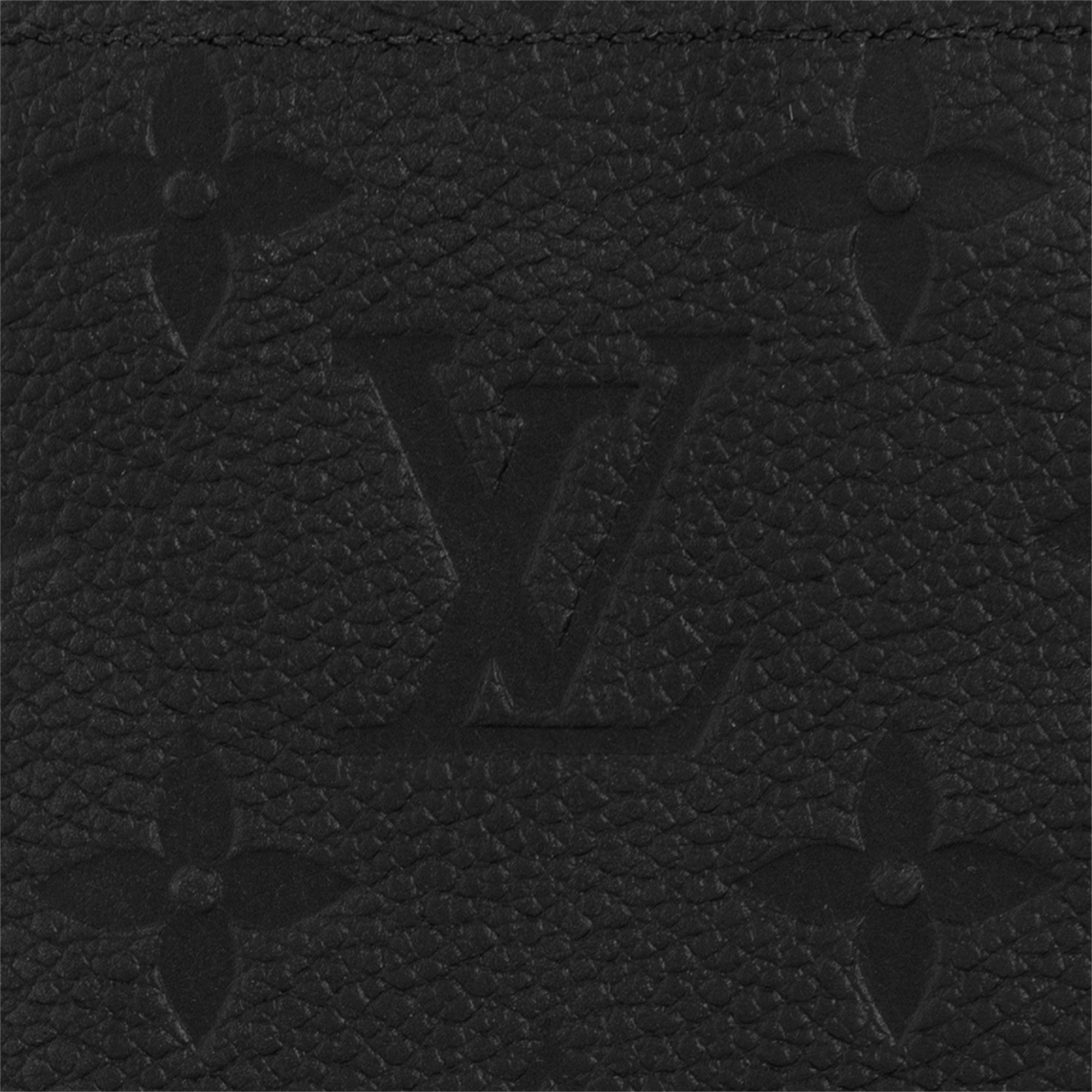 Passport Cover Monogram Empreinte Leather in Women