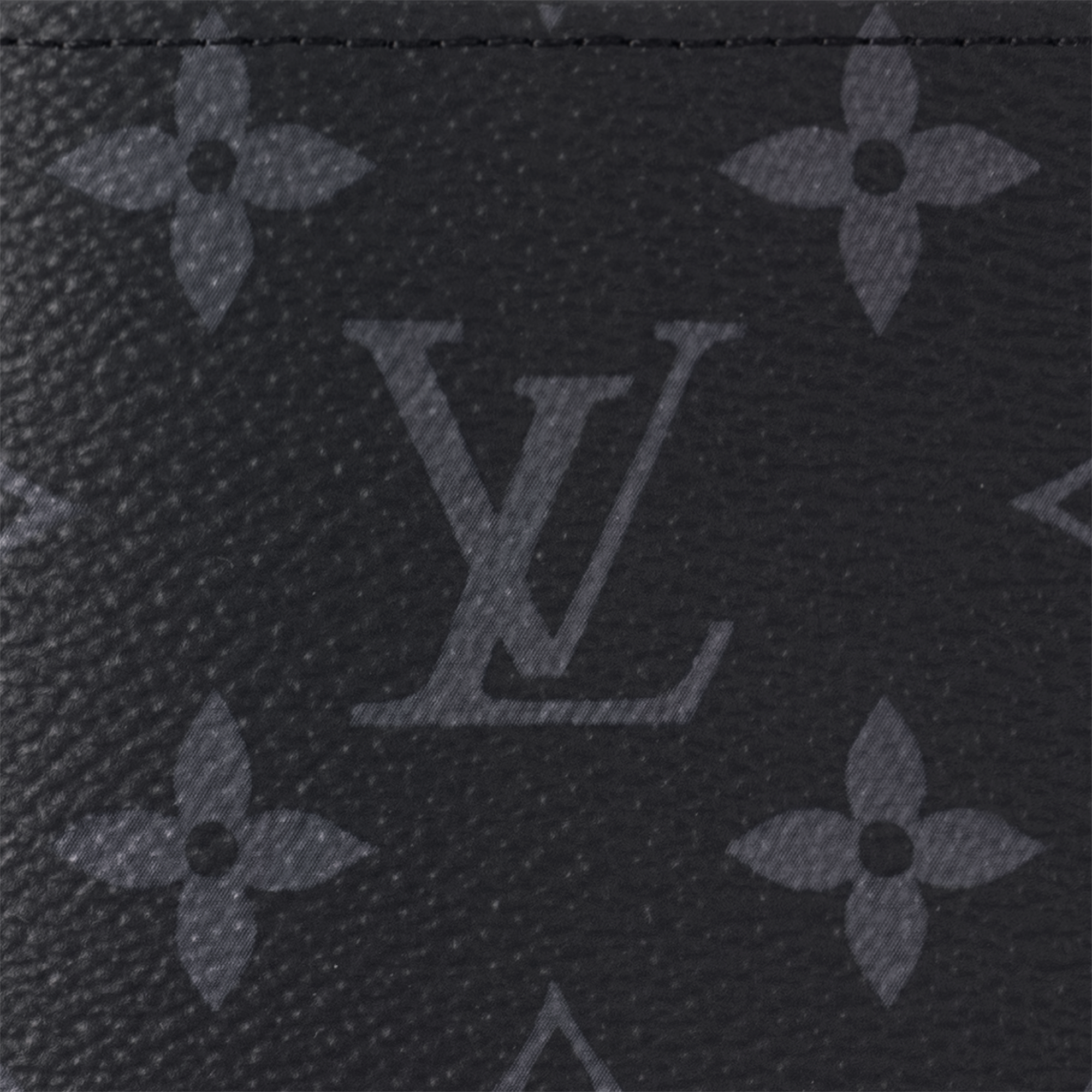 Passport Cover Monogram Eclipse in Men