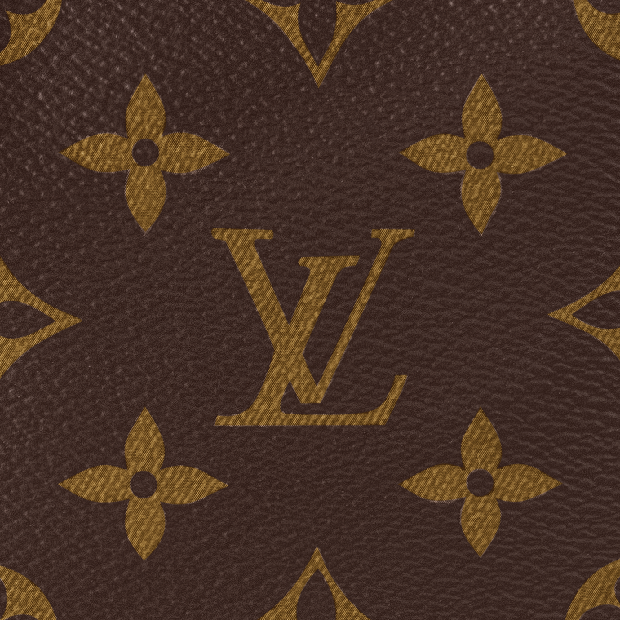 Petit Noé Monogram Canvas in Women