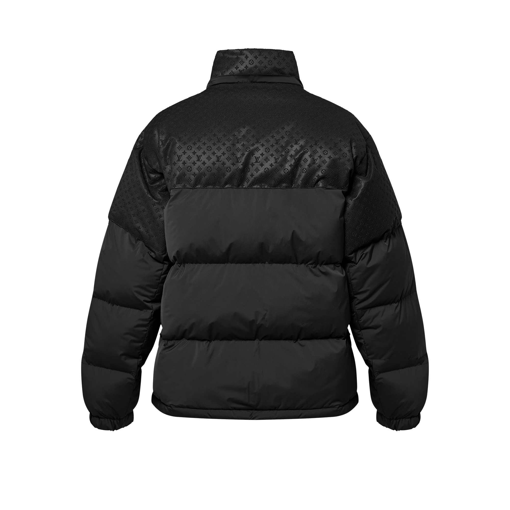 Placed Monogram Ecodown Blouson  in Men