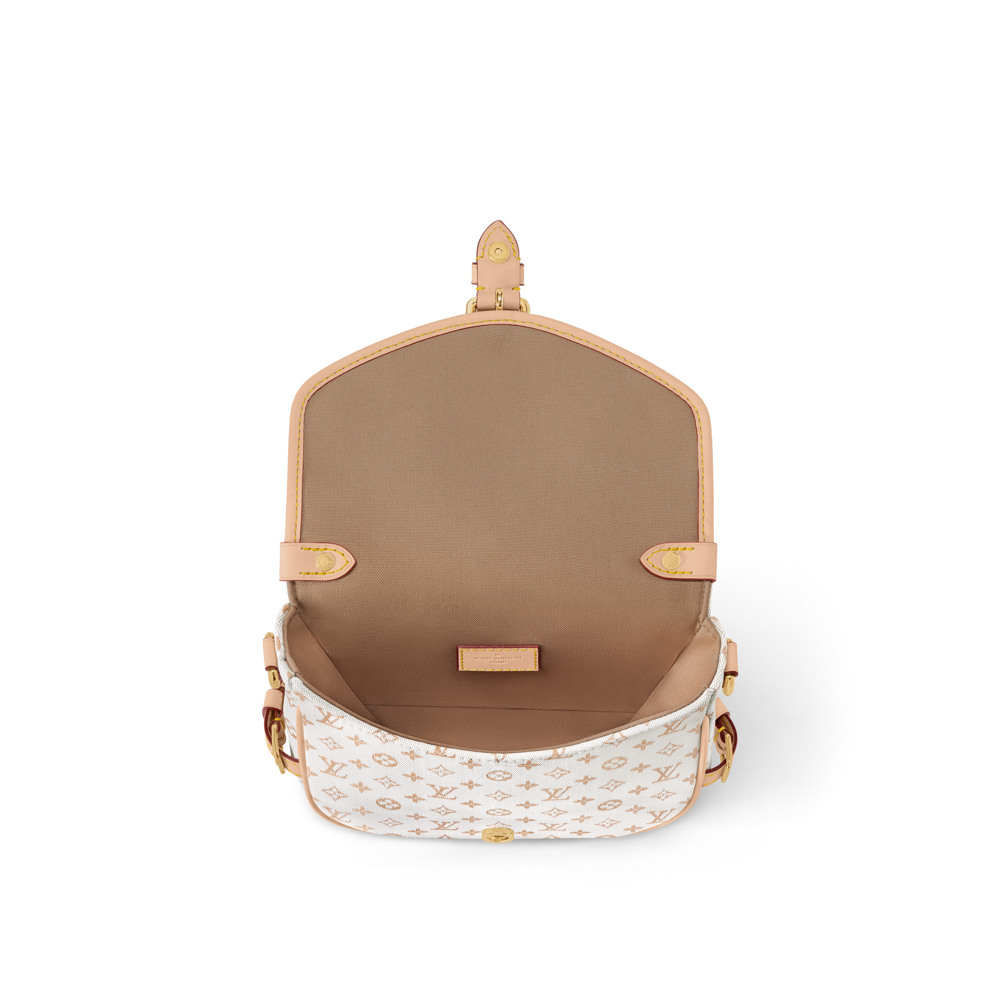 Saumur BB Other Monogram Canvas in Women