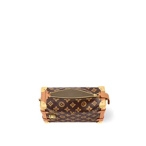 Side Trunk MM Other Monogram Canvas in Bags and Small Leather Goods's Women Bags LV Icons collections by Louis Vuitton (Product zoom)