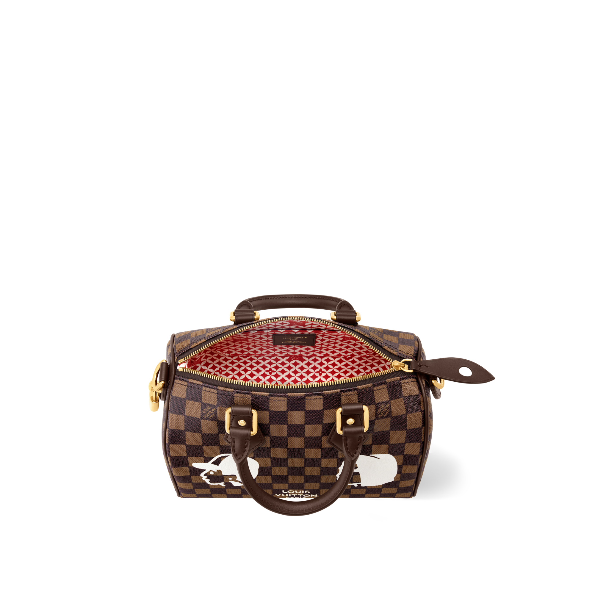 Speedy 25 Bandoulière Damier Ebene Canvas in Bags and Small Leather Goods