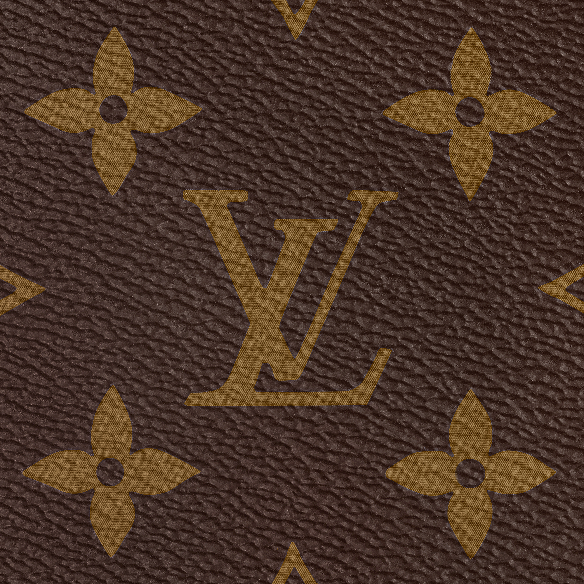 Speedy Bandoulière 20 Monogram Canvas in Women