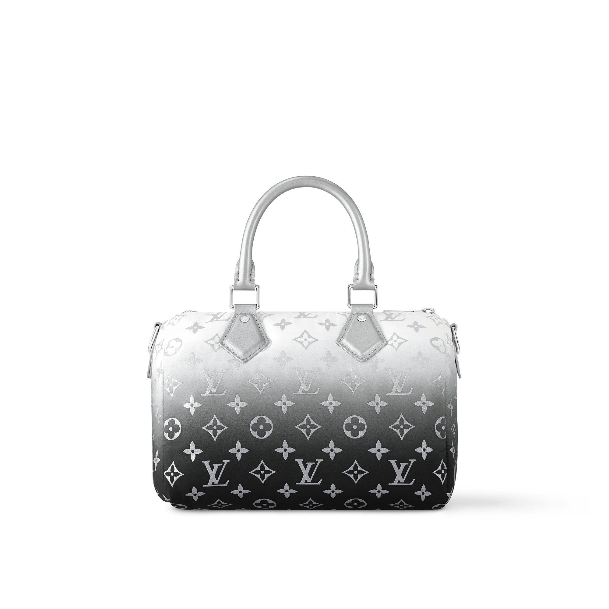 Speedy Bandoulière 25 Other Monogram Canvas in Bags and Small Leather Goods