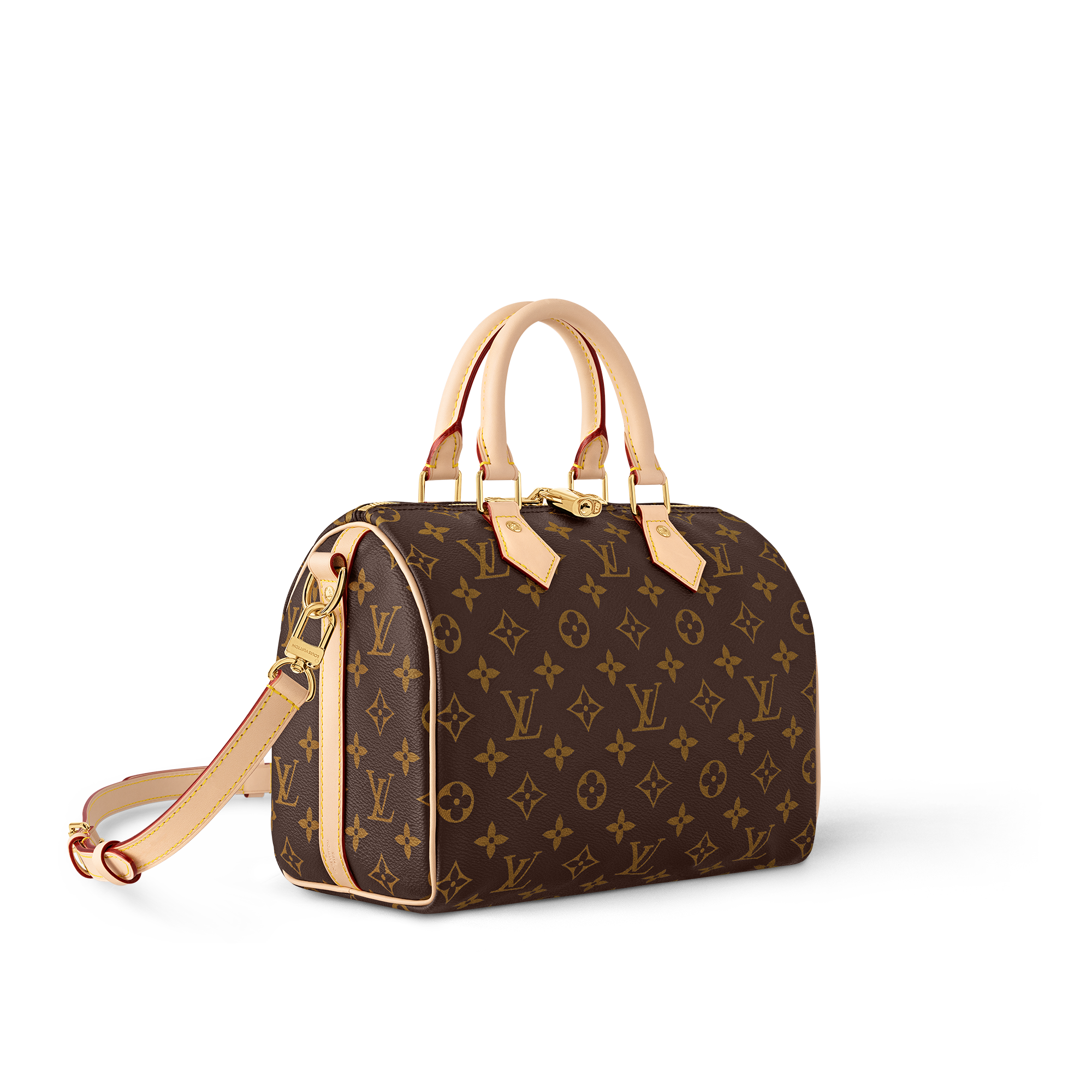 Speedy Bandoulière 25 Monogram Canvas in Women