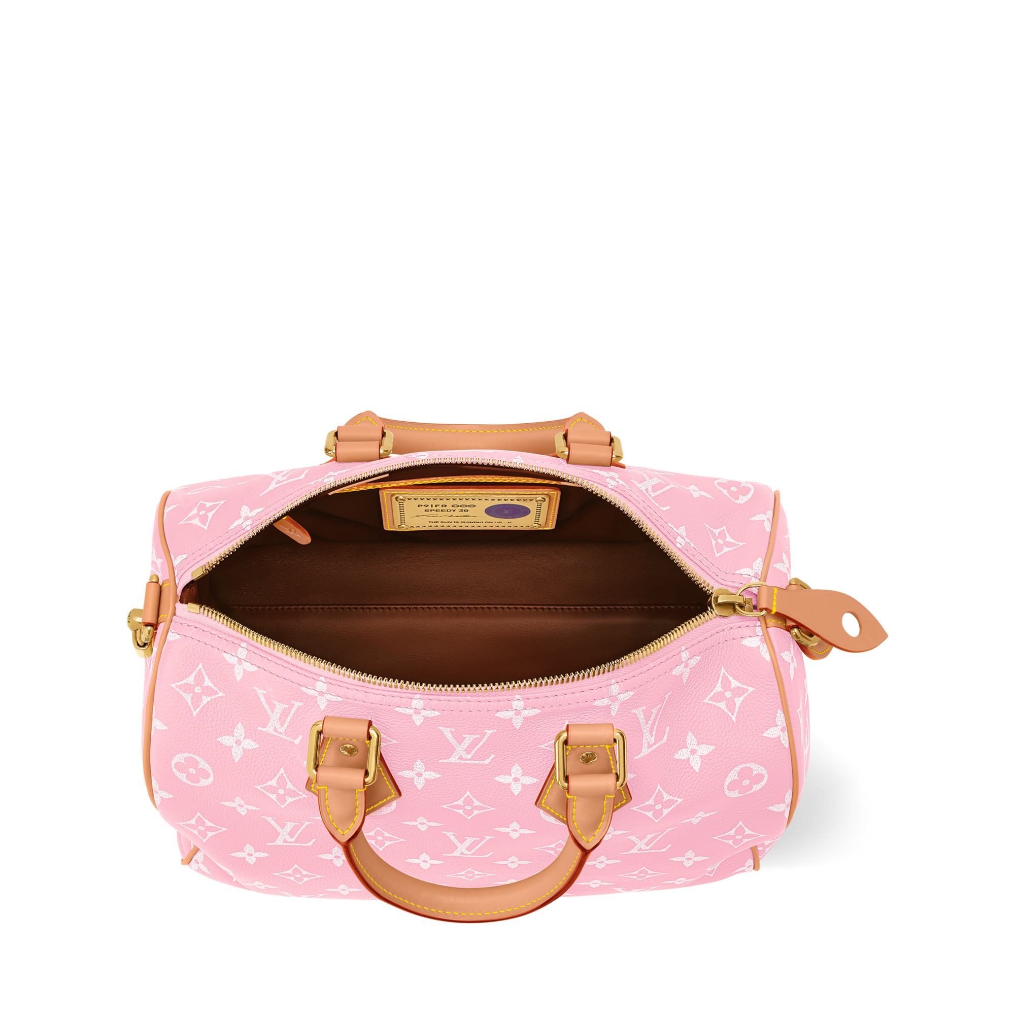 Speedy P9 Bandoulière 30 H40 - Leather Goods and Travel | LOUIS 