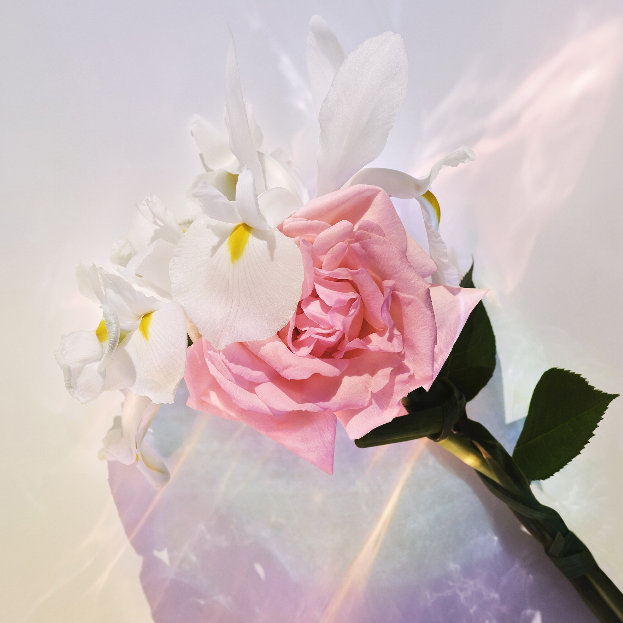 Spell On You Perfume and Travel Case Set   in Perfumes and Beauty