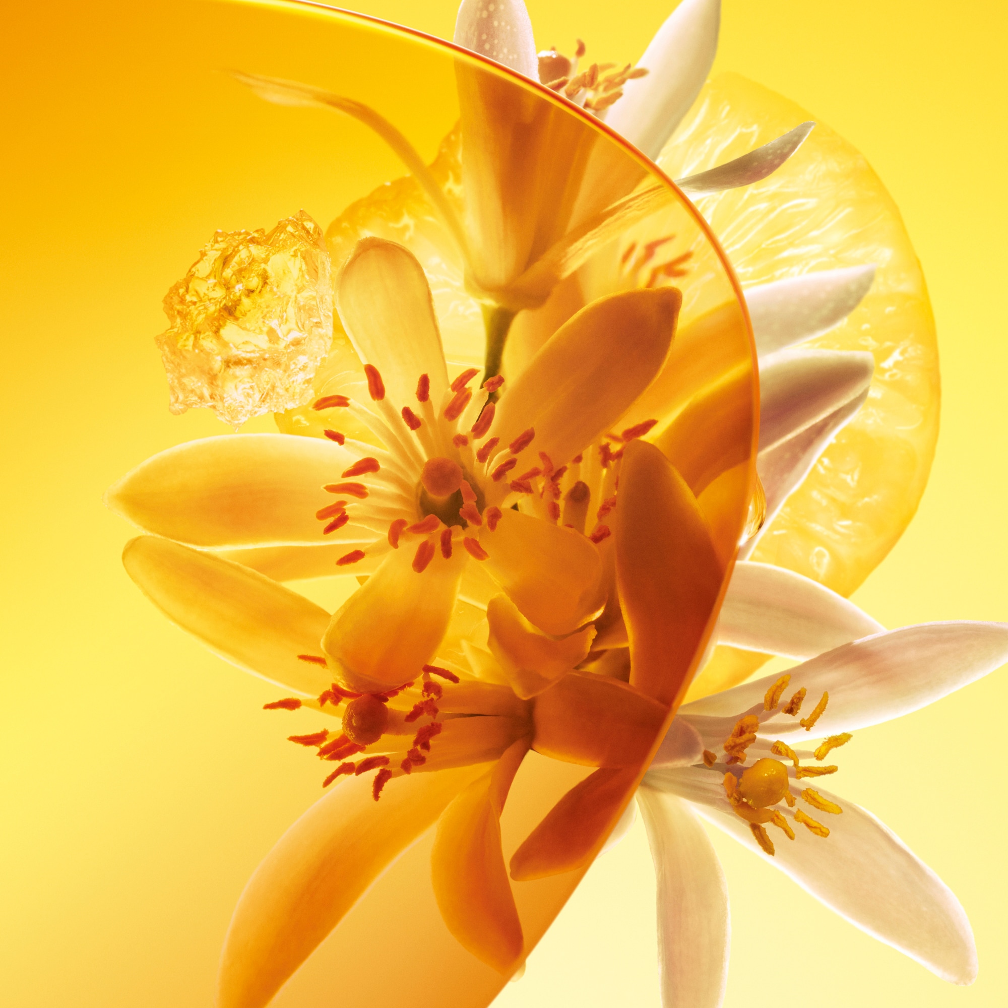 Sun Song  in Perfumes and Beauty