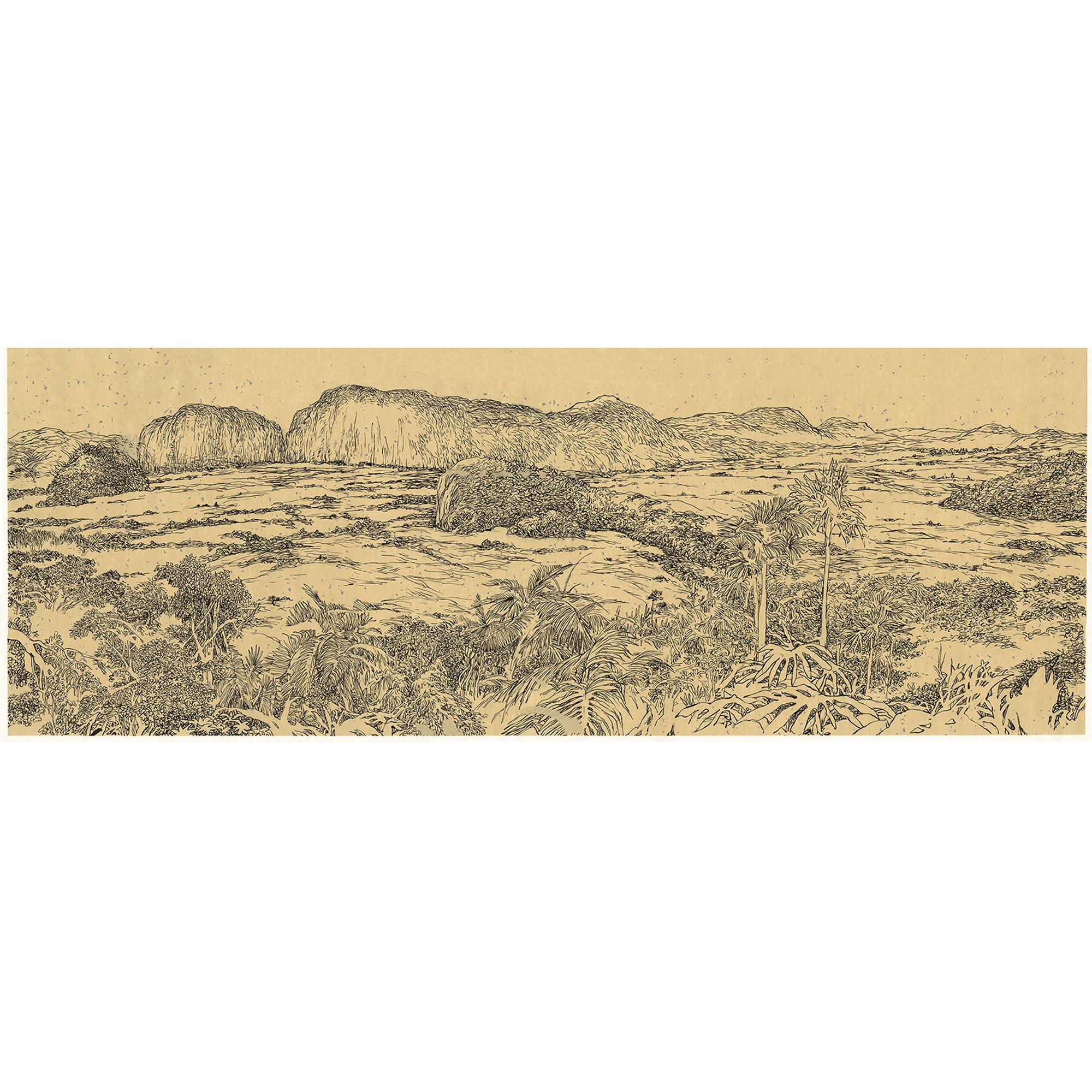 Travel Book Cuba  in Trunks, Travel and Home