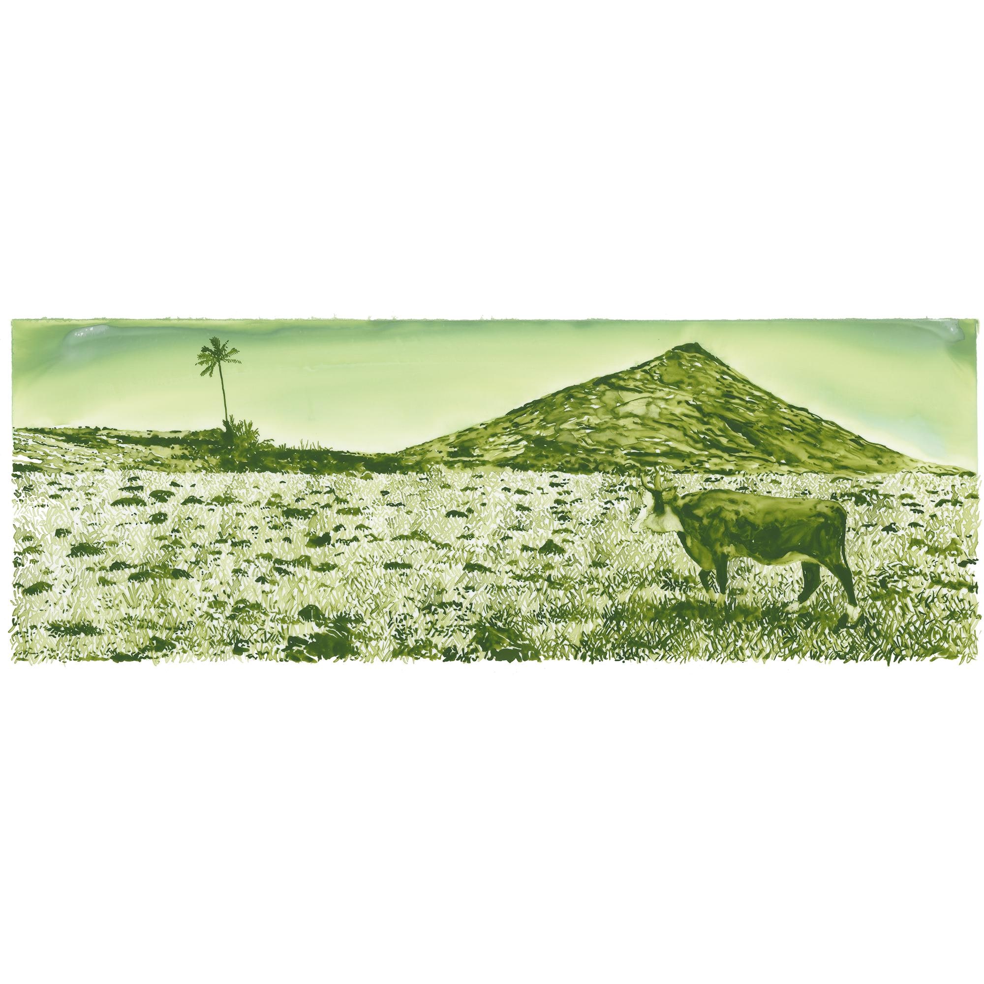 Travel Book Easter Island  in Trunks, Travel and Home