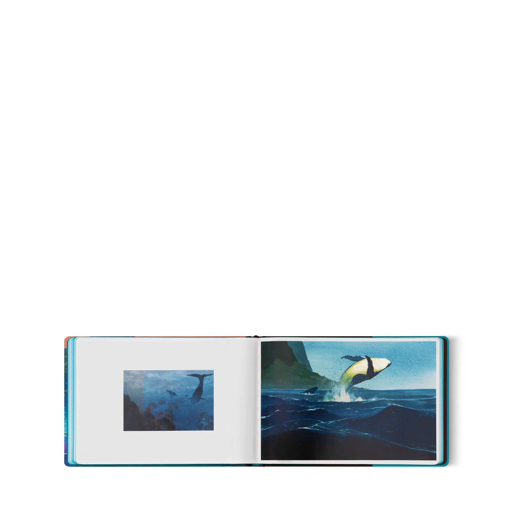 Travel Book Hawaii  in Trunks, Travel and Home