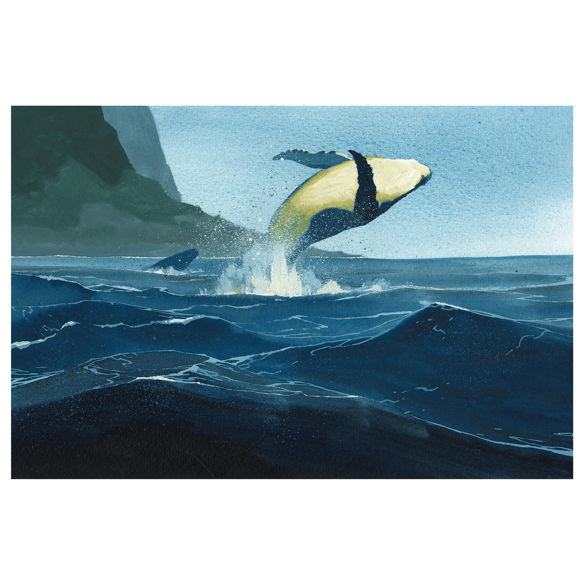 Travel Book Hawaii  in Trunks, Travel and Home