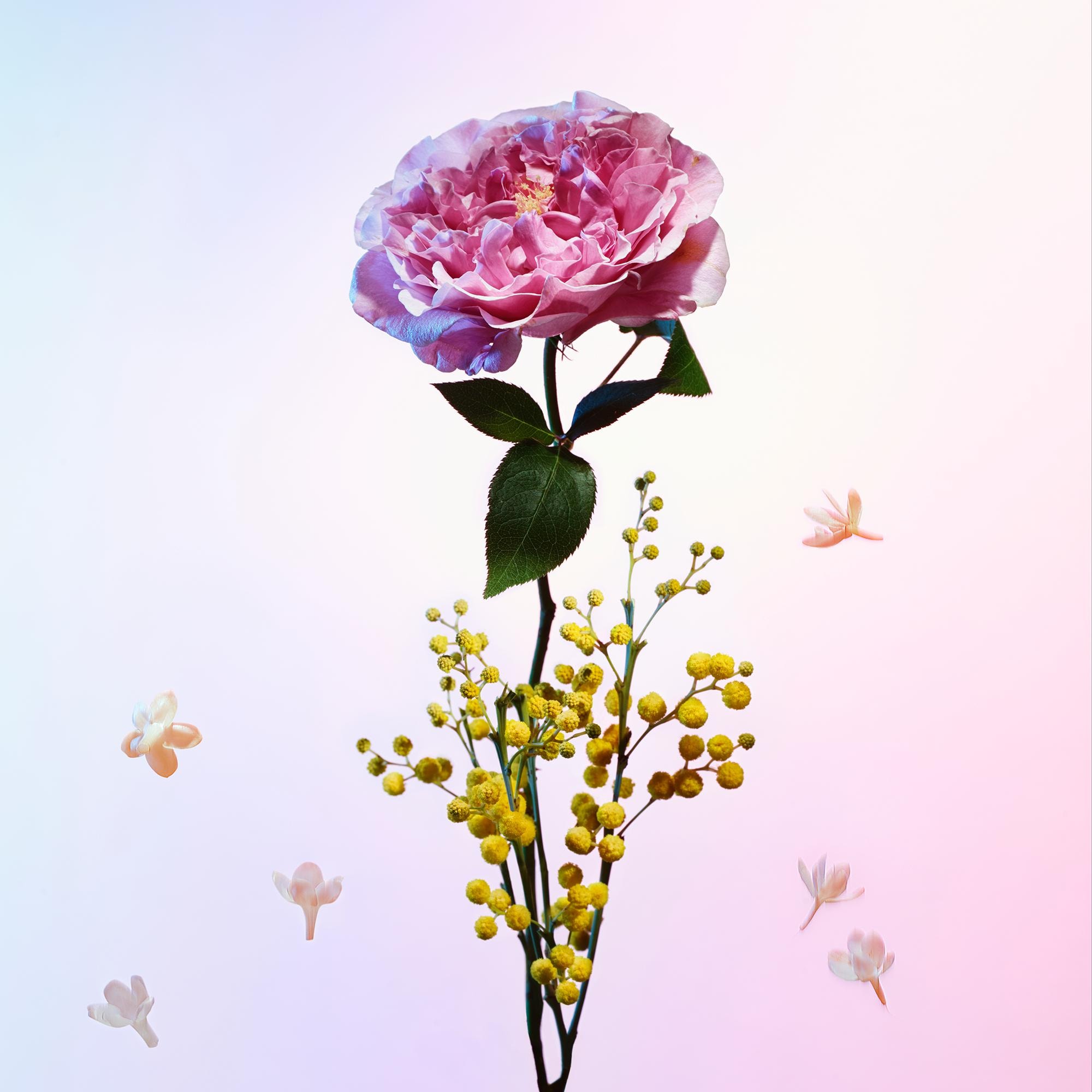 Travel Spray Heures d