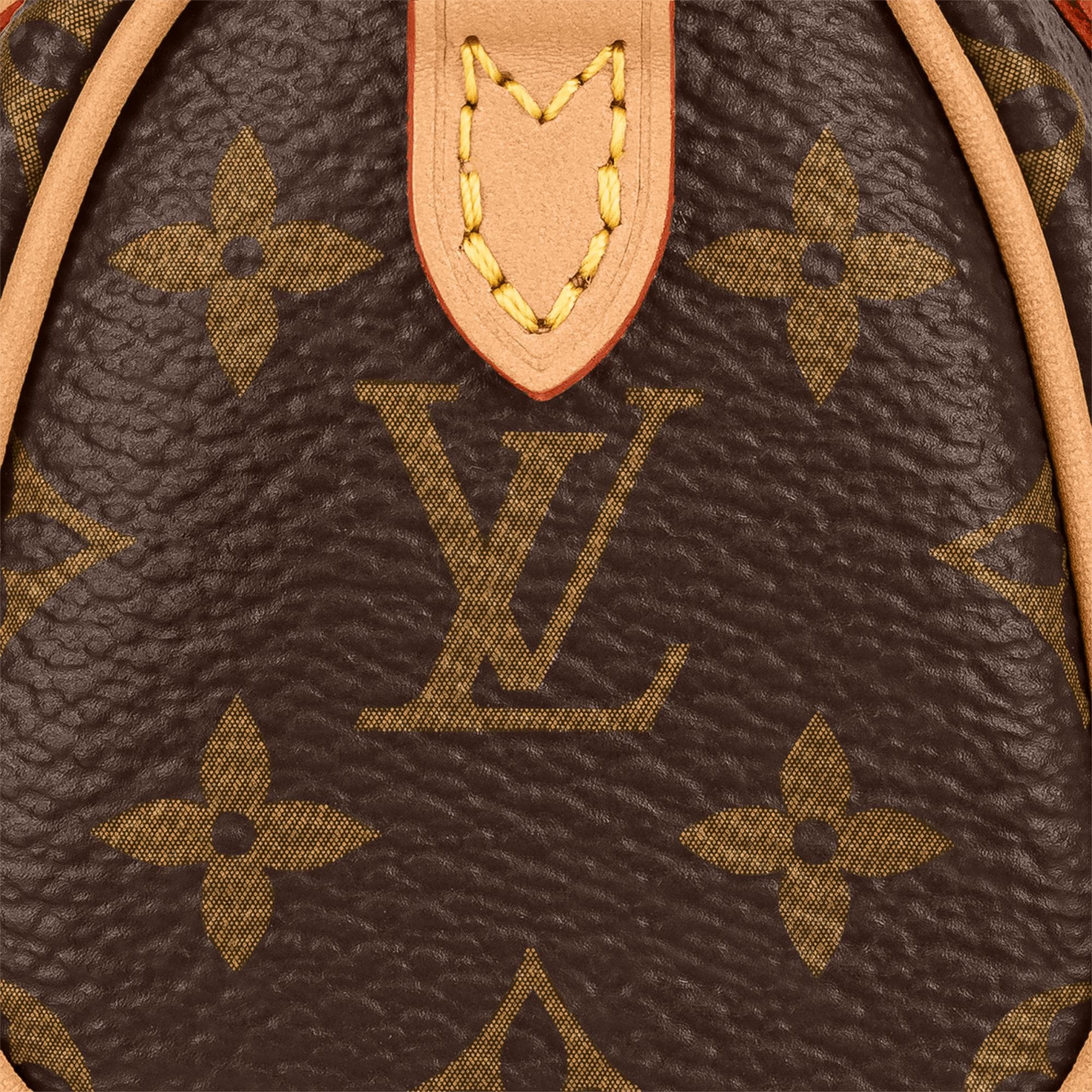 louis vuitton items