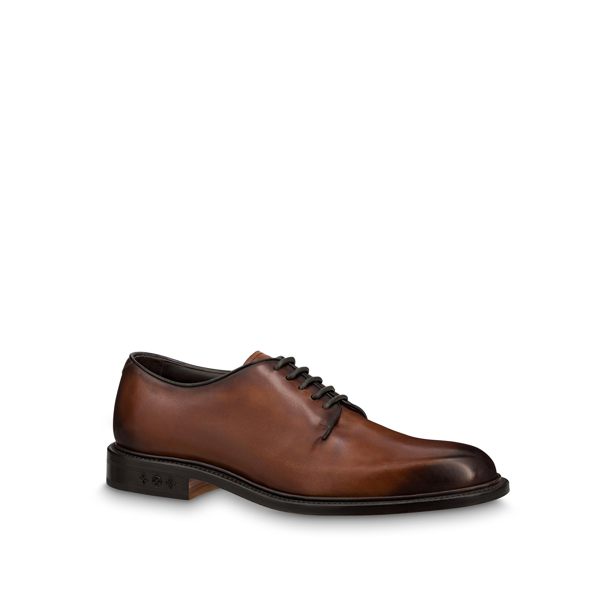 Lace-ups and Buckles shoes Collection 