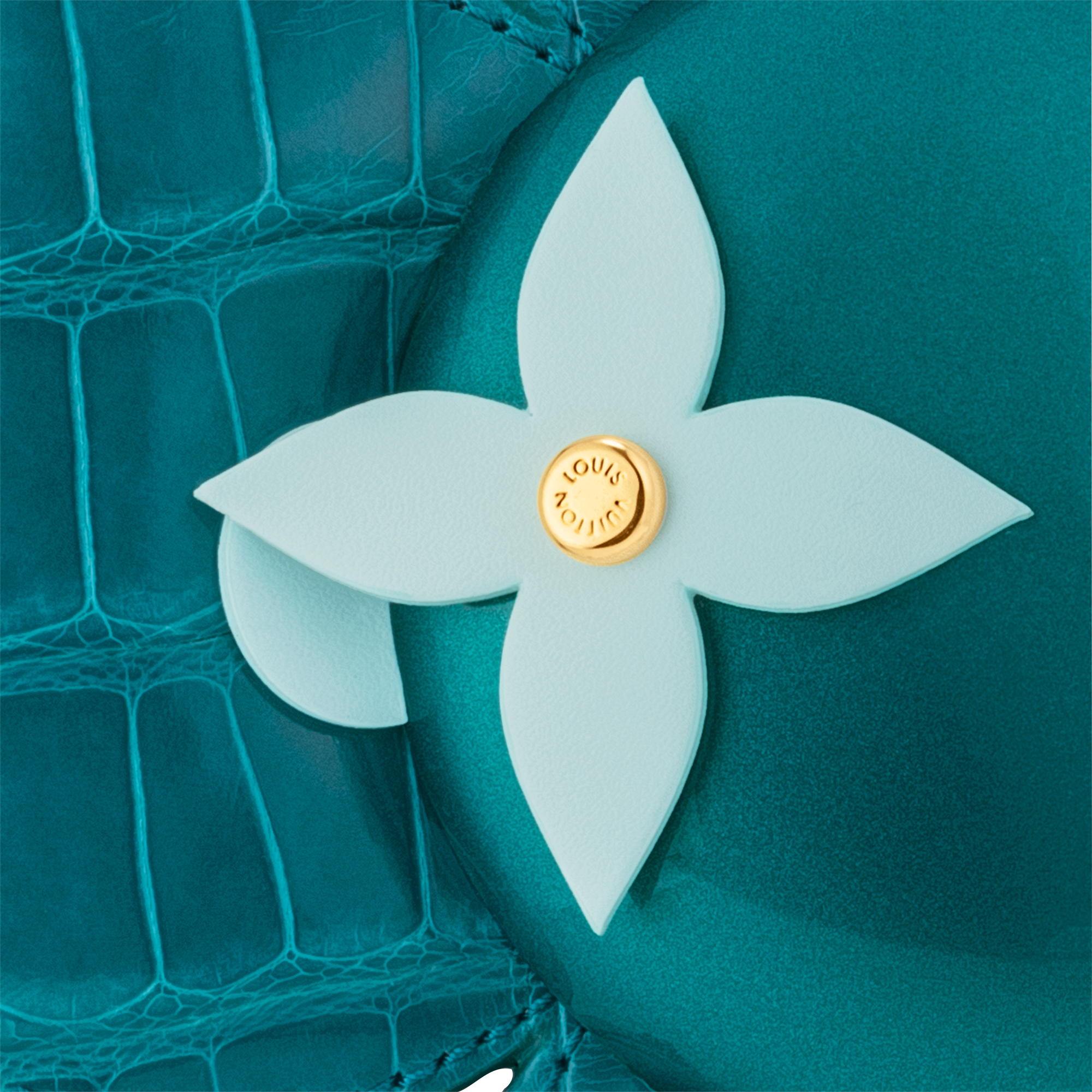 Vivienne Exotic S00 in Trunks, Travel and Home