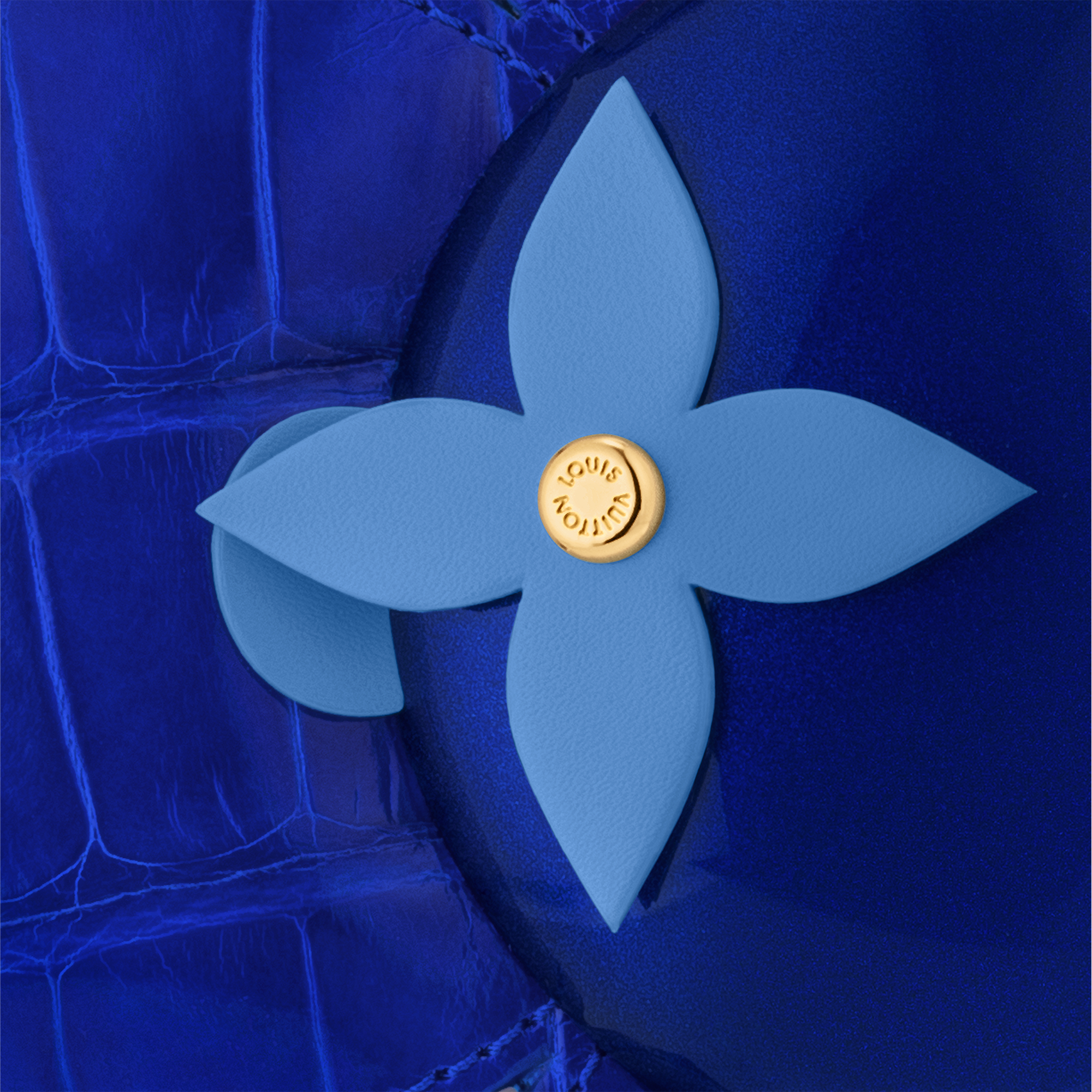 Vivienne Exotic S00 in Trunks, Travel and Home