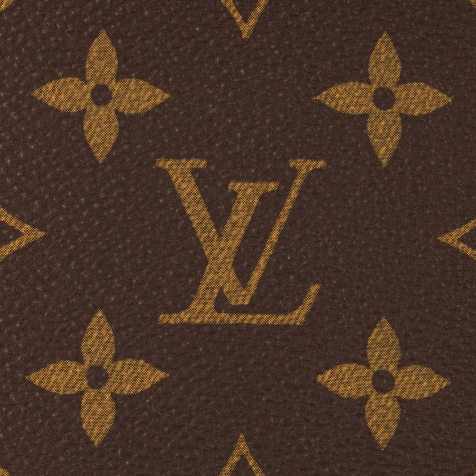 Wallet on Chain Ivy Monogram Canvas in Women