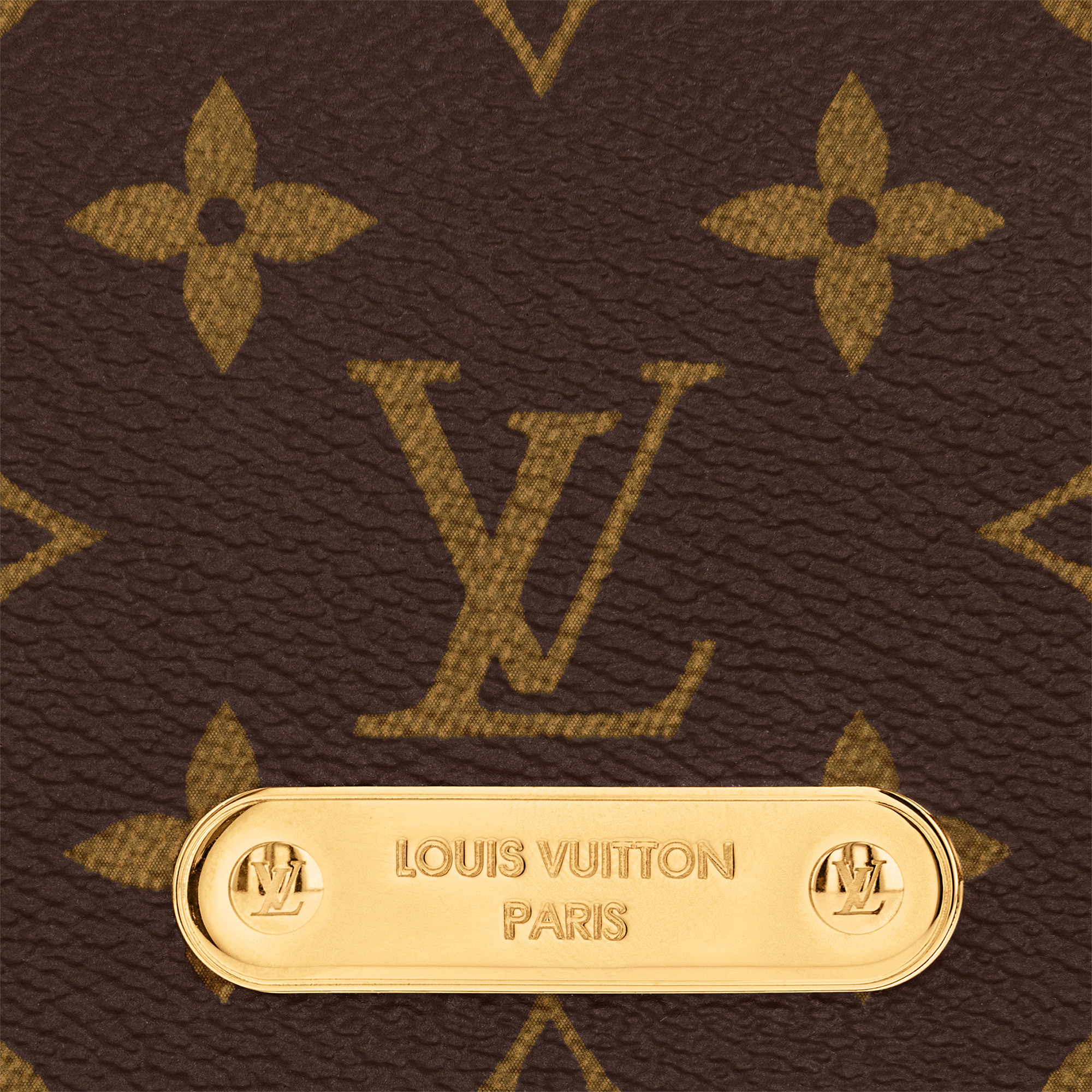 Wallet On Chain Lily Monogram Canvas in Women