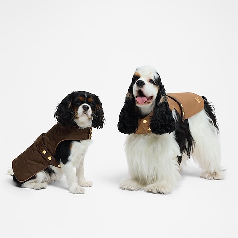 Waterproof dog coat PM in Trunks, Travel and Home's Pets Accessories } collections by Louis Vuitton (Product zoom)