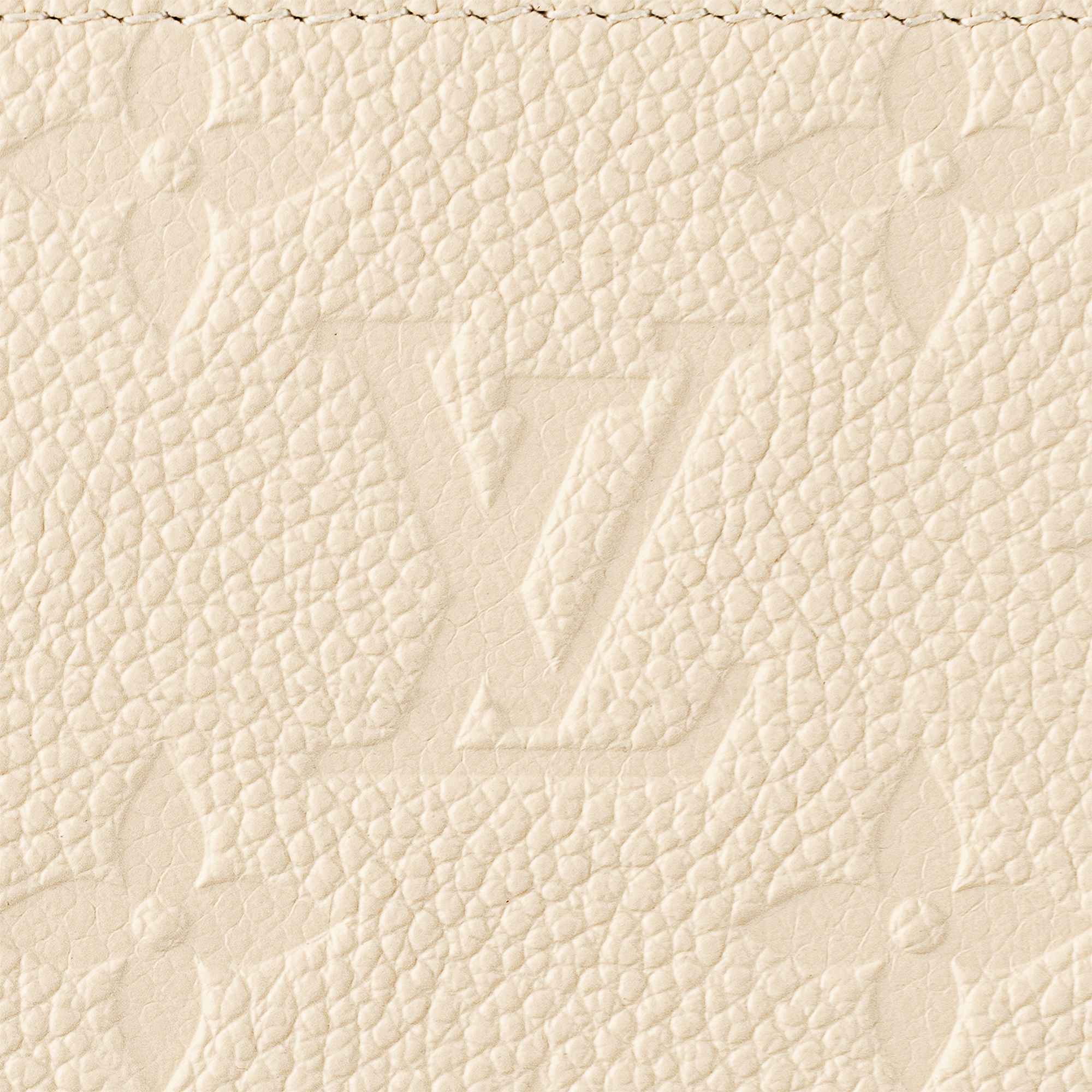 Zippy Wallet Monogram Empreinte Leather in Women