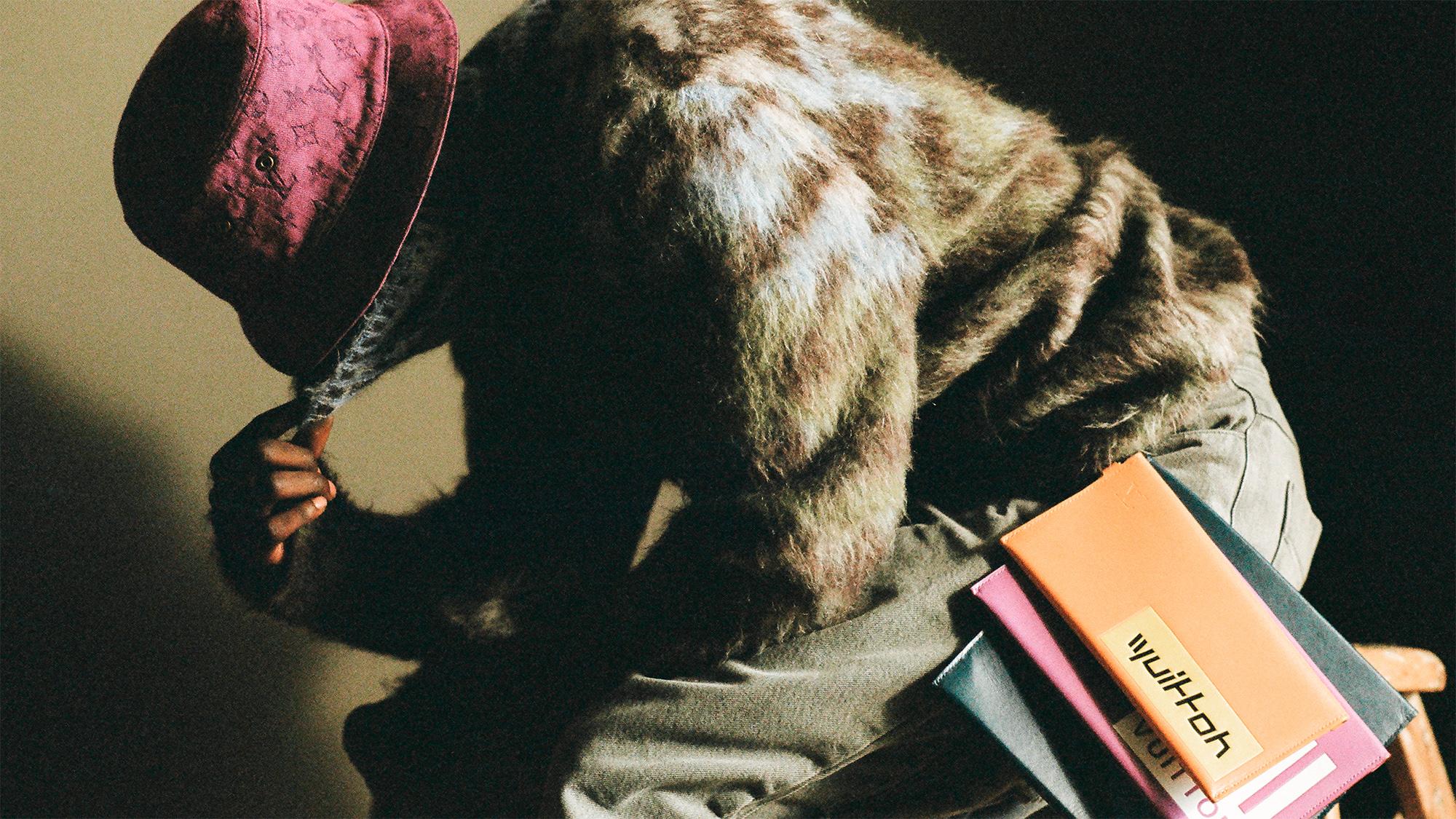 louis vuitton cat clothes