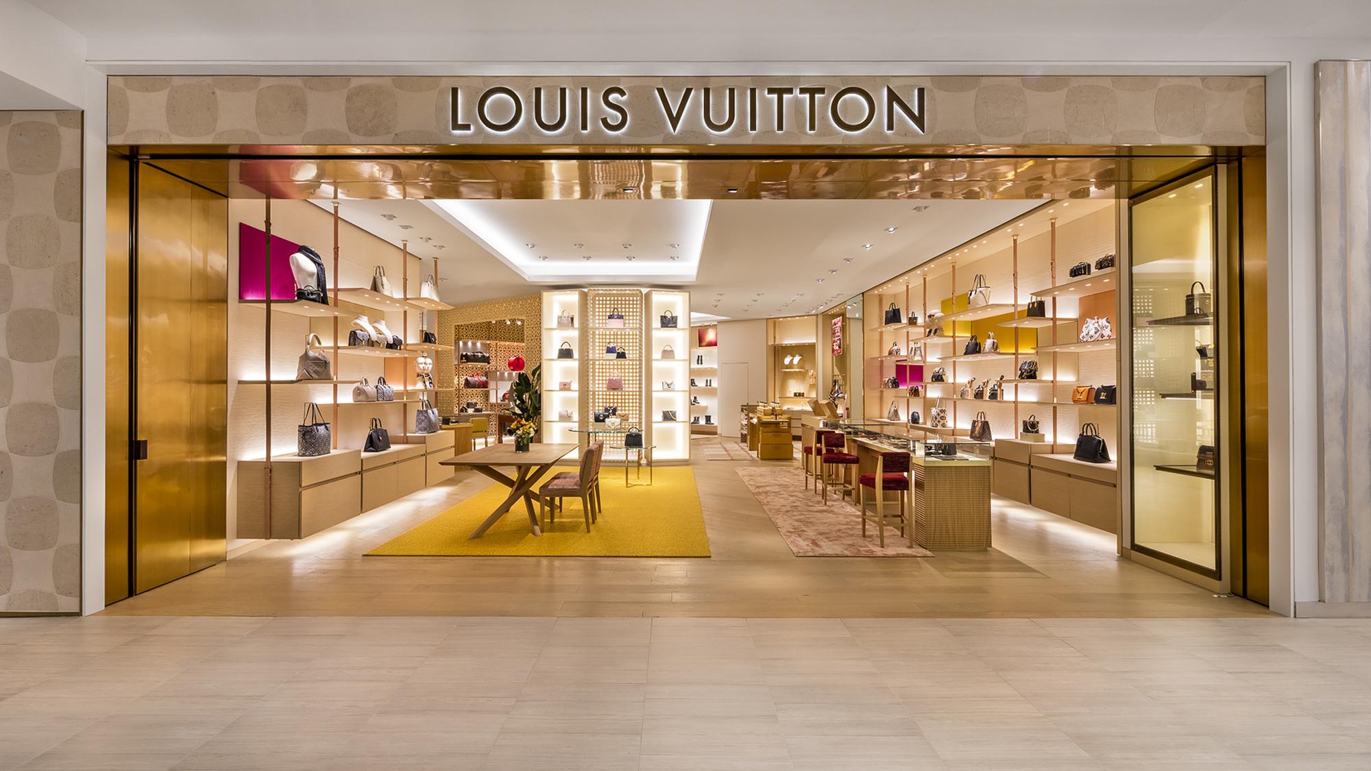 dream louis vuitton